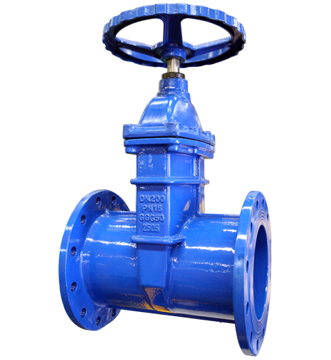 resilient gate valve (2)-100